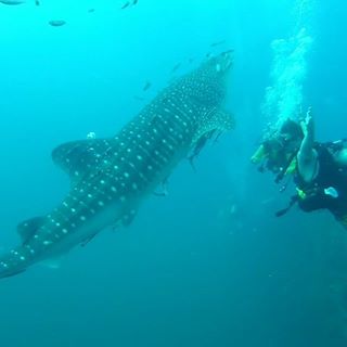 Profile Picture of Alex Smith (@SouthBaySmith) on Facebook