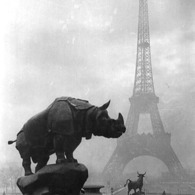 Profile Picture of Patrick Walsh (@Walsh_e_Patrick) on Twitter