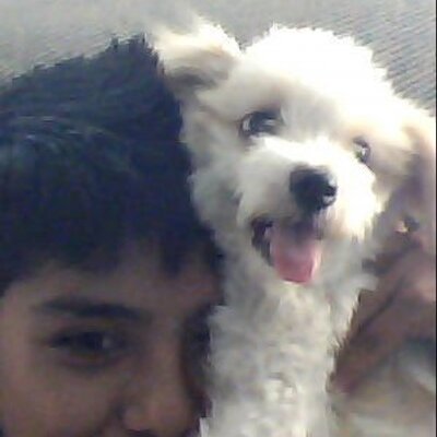 Profile Picture of Irvin Gonzalez (@irvingonzalez2) on Twitter