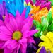 Profile Picture of Devin Isaacson (@devin4331) on Pinterest