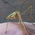 Profile Picture of Zachary Sprague (@perks_of_being_zachary) on Instagram