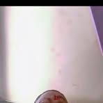 Starry Frosh - Facebook Profile Picture of Starry Frosh (@Starry-Frosh) on Facebook