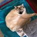 Profile Picture of Stephen Burrow (@stephen.burrow.756) on Facebook