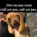 Profile Picture of Julio Cid (@julio.cid.1612) on Facebook