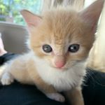 Profile Picture of Ginger Crump (@crump.ginger) on Instagram