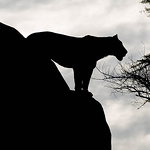 Profile Picture of Michael Mahoney (@Michael Mahoney Photography) on Flickr