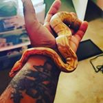 Profile Picture of Darren Rojas (@dking200730) on Instagram