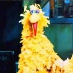 Profile Picture of Kody Thompson (@kody837) on Instagram