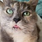 Profile Picture of Jose Luis Fierros (@jlfierros) on Instagram