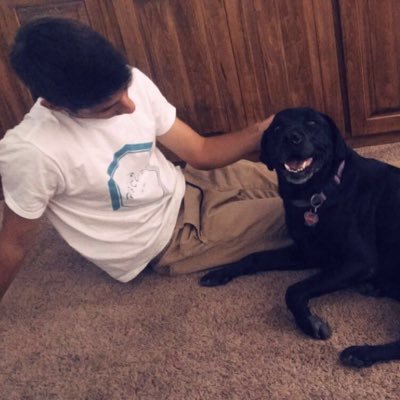 Profile Picture of Wes Alexanderson (@WesAlex32) on Twitter