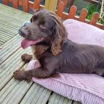 Profile Picture of sullivan walker (@xsullivan_walkerx) on Instagram