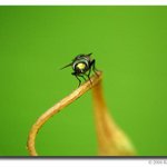 Profile Picture of Brendan Pope (@brendanpope) on Instagram