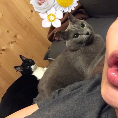 Profile Picture of Rosa_Rang_Jeong (@hwanhee1147) on Twitter