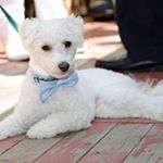 Profile Picture of Lorrie Alberts (@lorriealberts) on Instagram