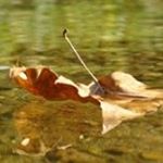 Profile Picture of Edward Ison (@isonedward) on Instagram