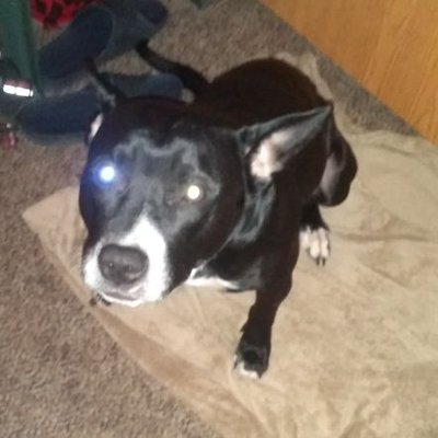 Profile Picture of Eric  hocking (@Ericjohnhockin2) on Twitter