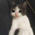 Profile Picture of Jonathan Guenther (@jonathan_gue25) on Instagram