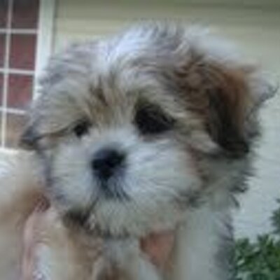 David Aytes - Twitter Profile Picture of David Aytes (@daytes42) on Twitter