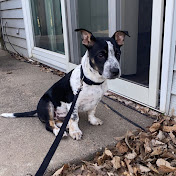 Kaitlyn Lysne - Youtube Profile Picture of Kaitlyn Lysne (@kaitlynlysne1650) on Youtube