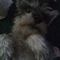 Profile Picture of Stephanie McNabb (@stephanie.mcnabb.58) on Facebook