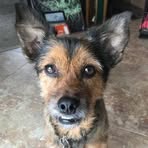 Greg Ponzi - Facebook Profile Picture of Greg Ponzi (@gregponzi) on Facebook