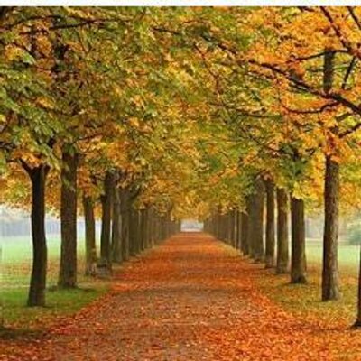 Profile Picture of Wendell Graham (@wend93gra) on Twitter