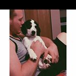 Profile Picture of Ryan Utterback (@utterback12) on Instagram