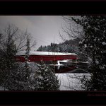 Chasity Quinn - Instagram Profile Picture of Chasity Quinn (@chasitygquinn) on Instagram