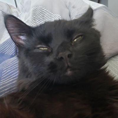 Profile Picture of Kyle.doran (@Kyledoran13) on Twitter