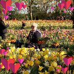 Profile Picture of Willemien Brans van den Heuvel (@willemienbrans) on Instagram