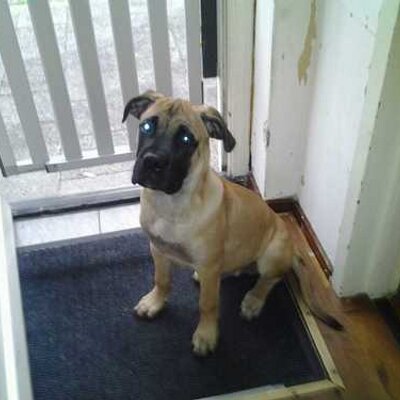 John Schreuders - Twitter Profile Picture of John Schreuders (@johntysonkim) on Twitter