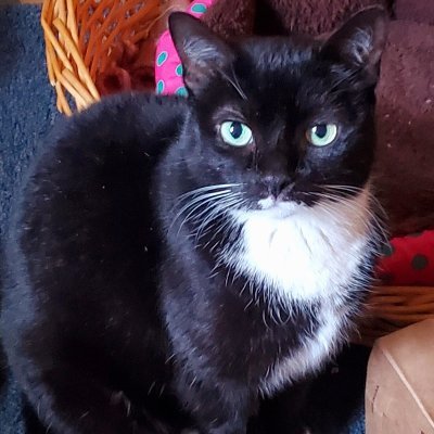 Profile Picture of Sandra Tetreault (@SandraTetreaul9) on Twitter