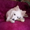Profile Picture of Keerthi Reddy (@@keerthireddy63) on Tiktok