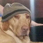 Profile Picture of Scott Crellin (@scottcrellin) on Instagram