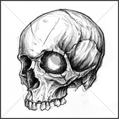 Profile Picture of Jason B Rispoli (@b_rispoli) on Twitter