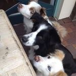 Profile Picture of Peter & Glenda Wallace (@glenandpete) on Instagram