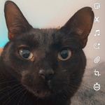 Jazmyn Miller - Instagram Profile Picture of Jazmyn Miller (@jazmyn112019) on Instagram