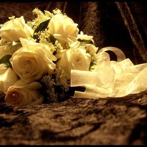 Profile Picture of Anne Quinn (@annes_photography) on Myspace