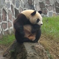 Profile Picture of Brendan Lam (@BLHC912) on Twitter