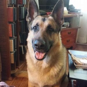 Profile Picture of Lori Jeske (@SecretJeske) on Twitter