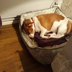 ann poulter - Instagram Profile Picture of ann poulter (@ann.poulter) on Instagram