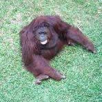 Ralph Ganzer - Facebook Profile Picture of Ralph Ganzer (@ralph.ganzer) on Facebook