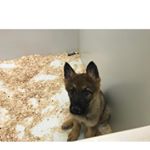 Profile Picture of Jacob Weirich (@jacob.weirich.58) on Instagram