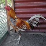 Profile Picture of Robert Nilson (@robert.nilson.14) on Instagram