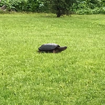 Profile Picture of Patrick (@sonya7siii) on Twitter