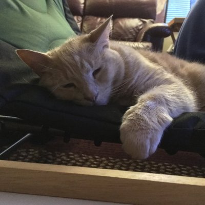 Profile Picture of Kenneth Zielinski (@Kennyzdg) on Twitter
