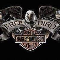 Profile Picture of James Hummel Jr. (@james.hummeljr.2) on Myspace