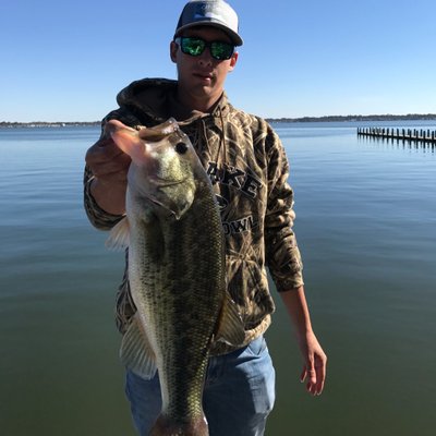 Profile Picture of Hyland Tyler (@HylandTyler) on Twitter