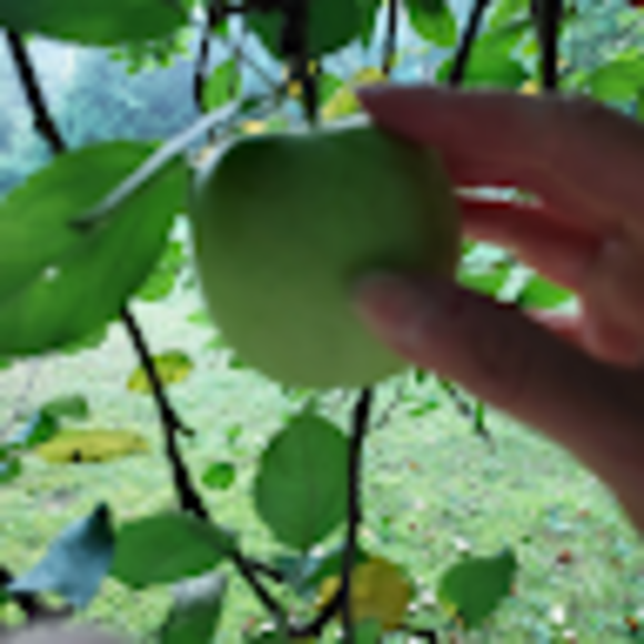 Profile Picture of Louisea Conway (@louisea66) on Poshmark