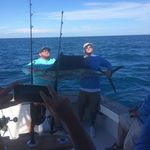 Profile Picture of Derek Gibbs (@derekgibbs63) on Instagram